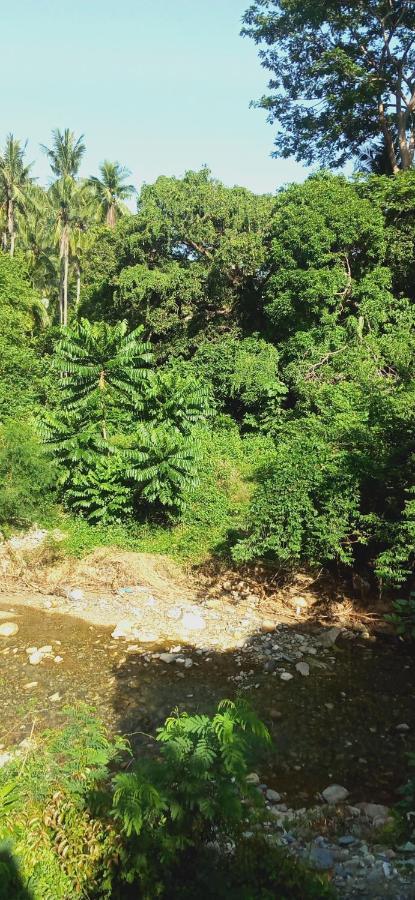 Riverside At Aninuan Accommodation And Food Puerto Galera Buitenkant foto